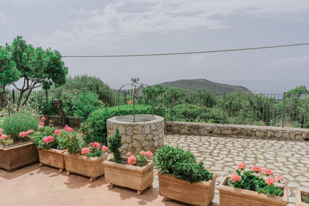 Hotel Relais Pian Delle Starze Marina di Camerota Dış mekan fotoğraf